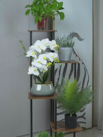 Multi-Tier Flower Pot Stand
